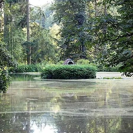 Haus Koppelberg فندق Wipperfürth